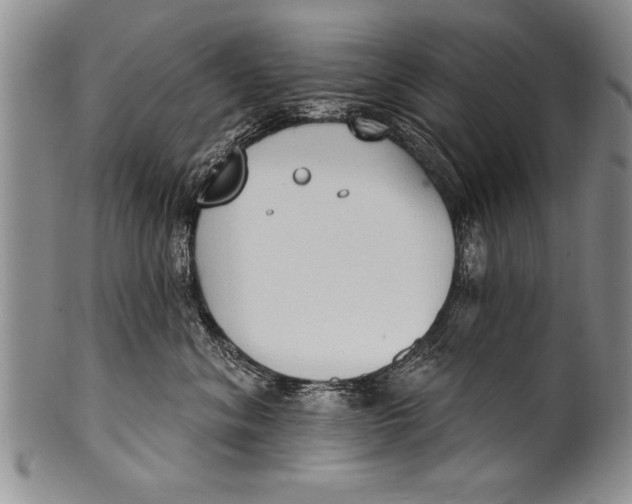 X0000100330620200806261304