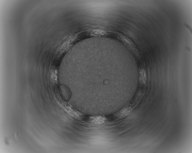 X0000100330621200806261304