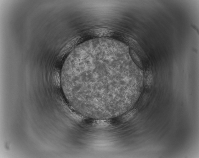 X0000100330622200806261304