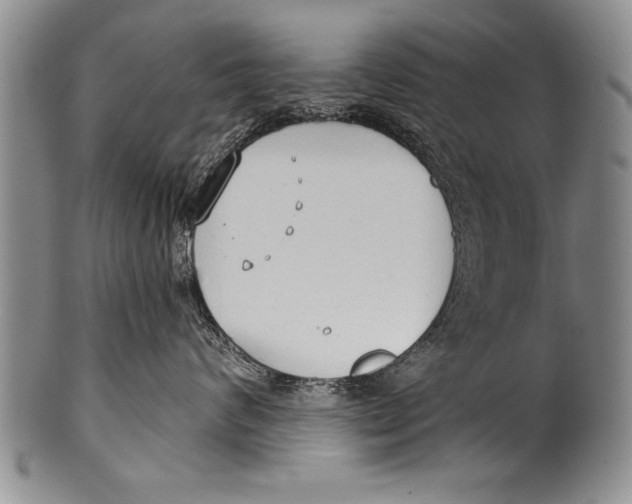 X0000100330624200806261303