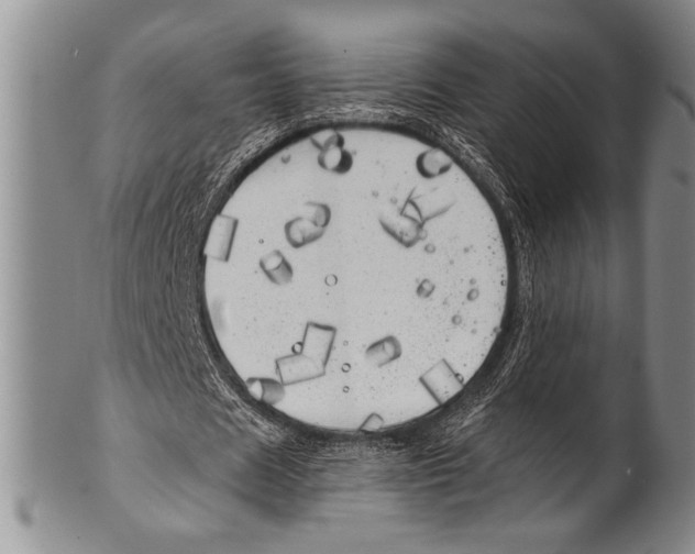 X0000100330625200806261303