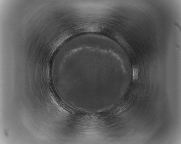 X0000100330627200806261303