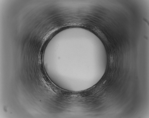 X0000100330628200806261303