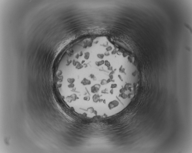 X0000100330630200806261303