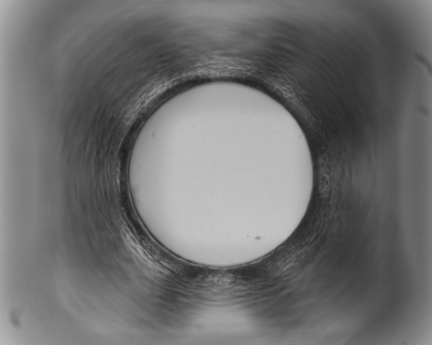 X0000100330631200806261303