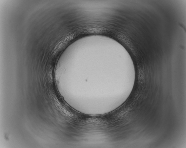 X0000100330633200806261303