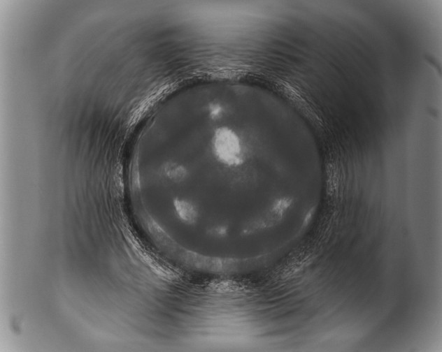 X0000100330634200806261303