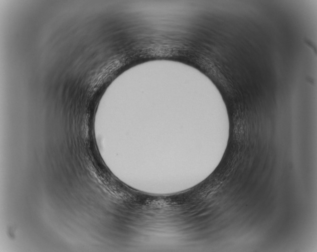 X0000100330635200806261303