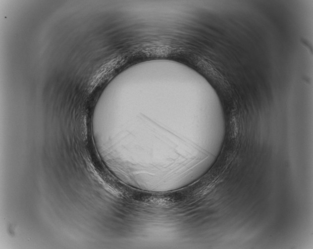 X0000100330638200806261303