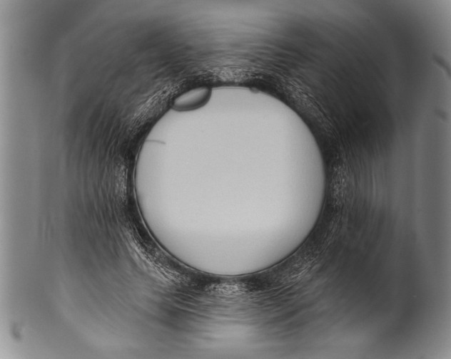 X0000100330639200806261303