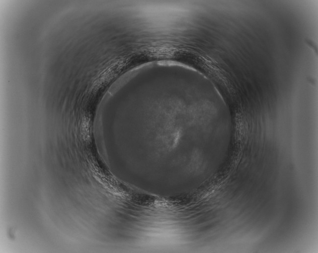 X0000100330641200806261303