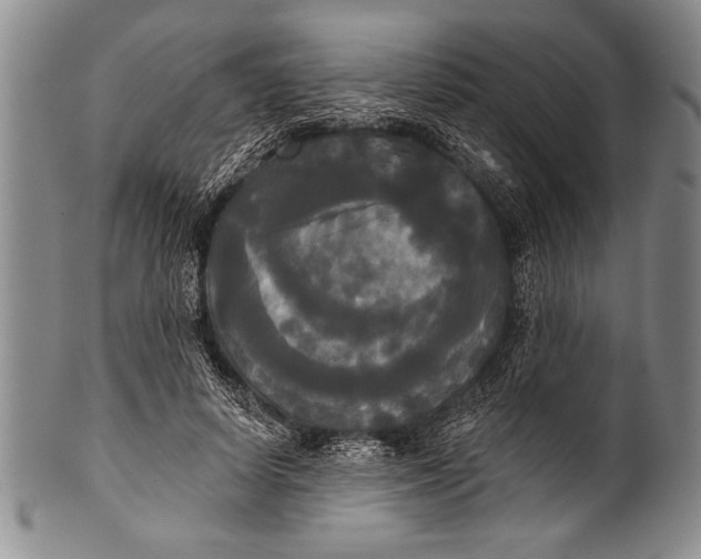 X0000100330642200806261303