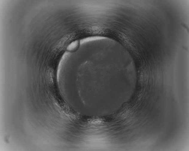 X0000100330643200806261303