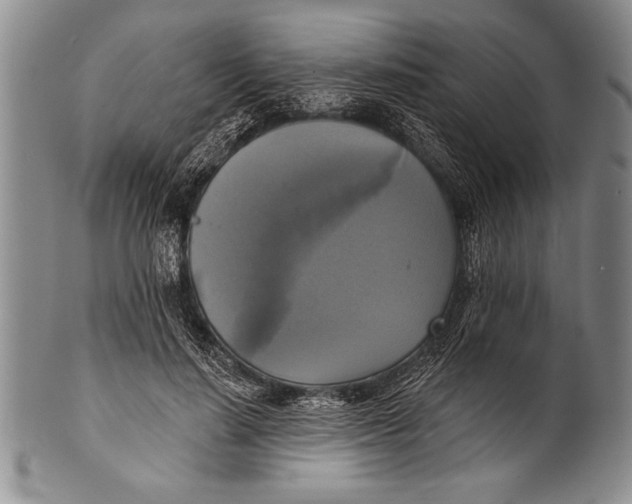 X0000100330644200806261303