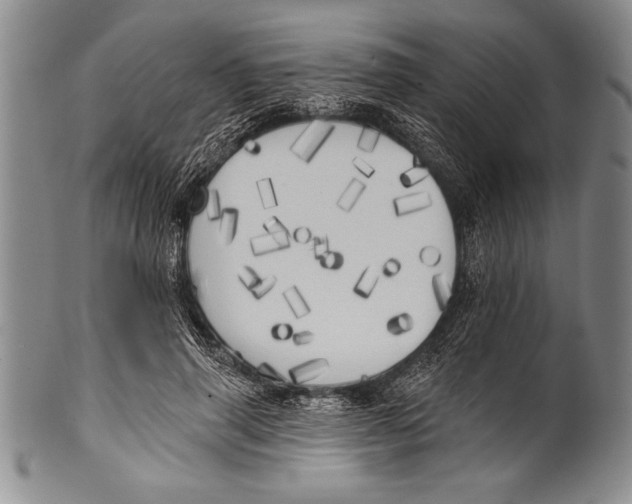 X0000100330645200806261303