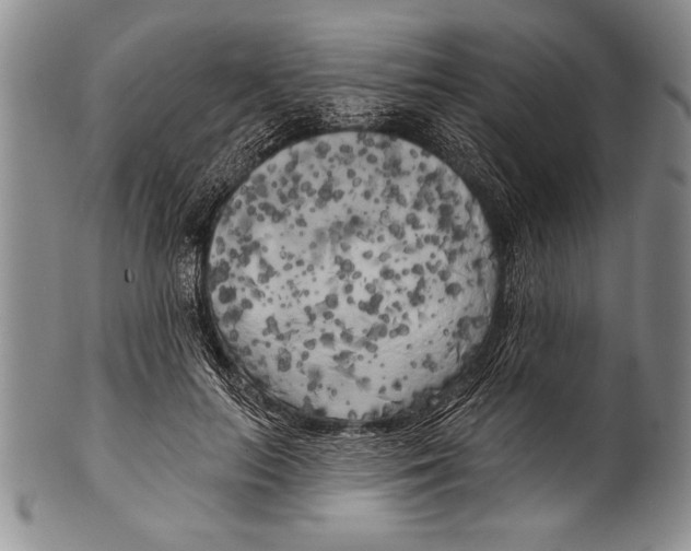 X0000100330647200806261303