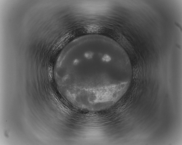 X0000100330648200806261303