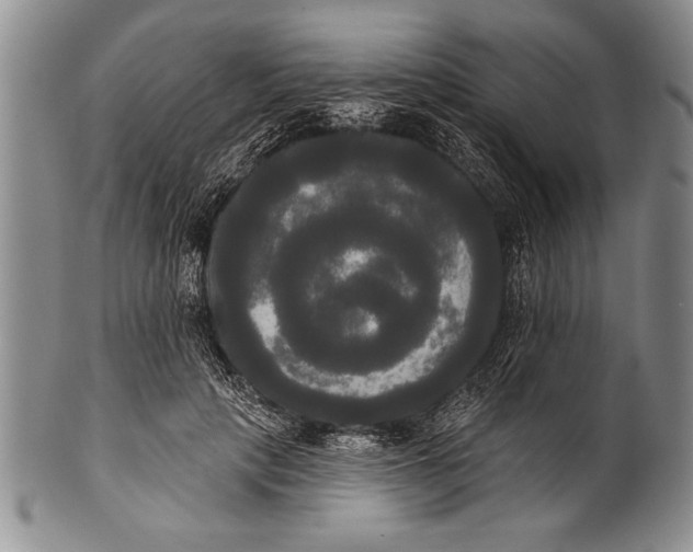 X0000100330649200806261303