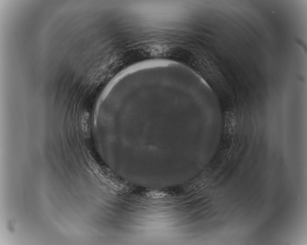 X0000100330650200806261303