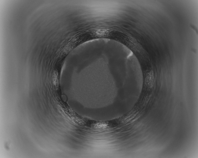 X0000100330651200806261303