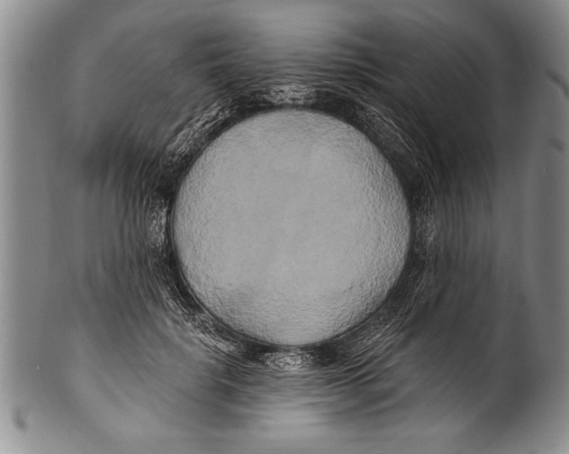 X0000100330652200806261303