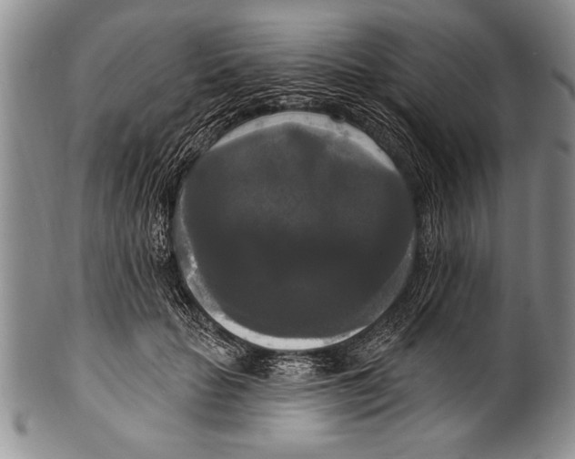 X0000100330653200806261303