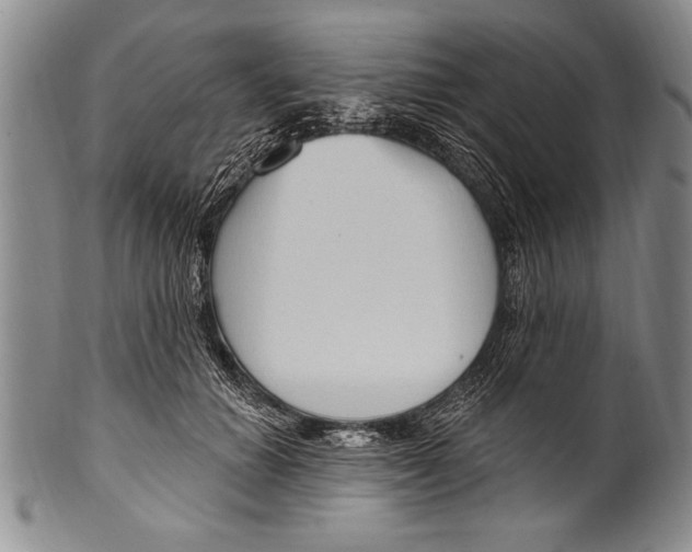 X0000100330654200806261303