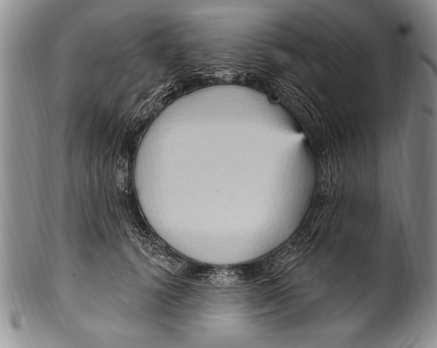 X0000100330656200806261303