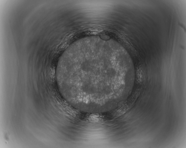 X0000100330657200806261303