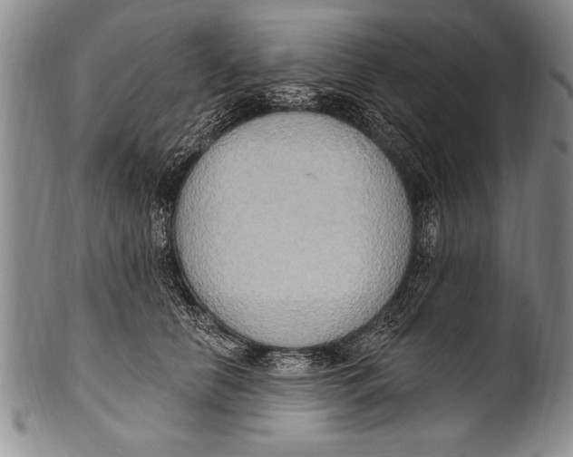 X0000100330658200806261303