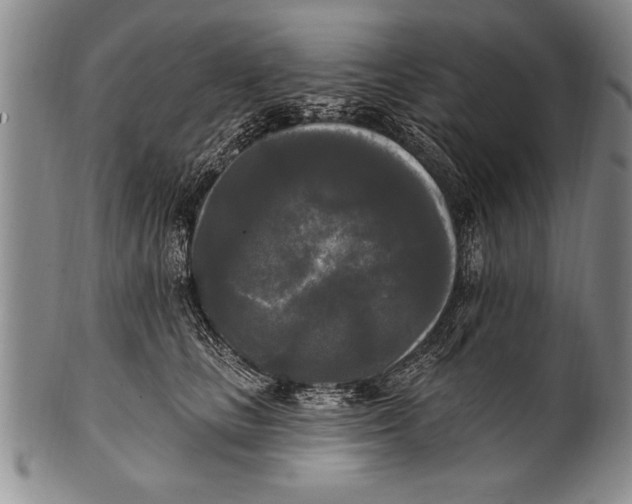 X0000100330661200806261303