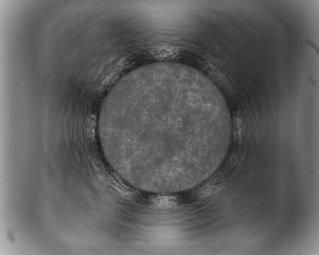 X0000100330664200806261303