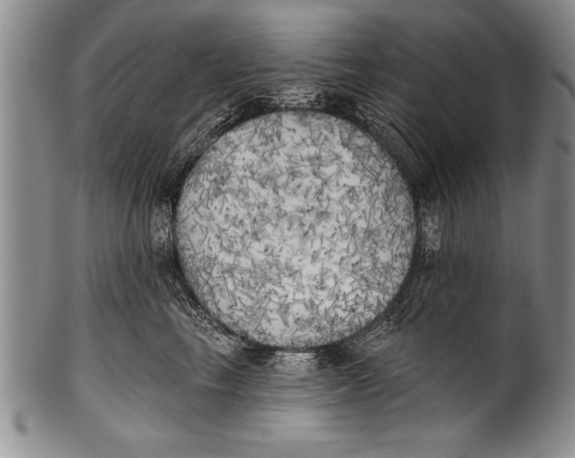 X0000100330665200806261303