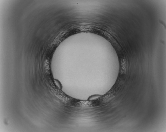 X0000100330667200806261303