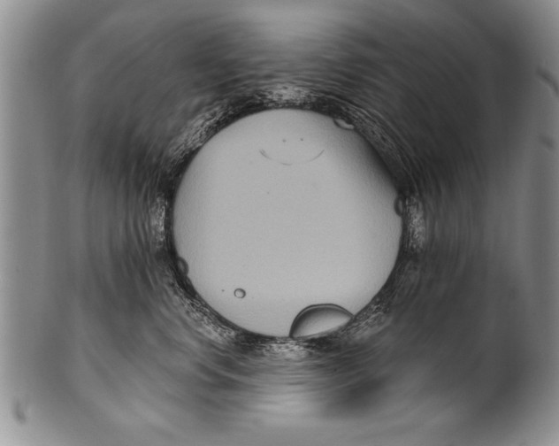 X0000100330668200806261303