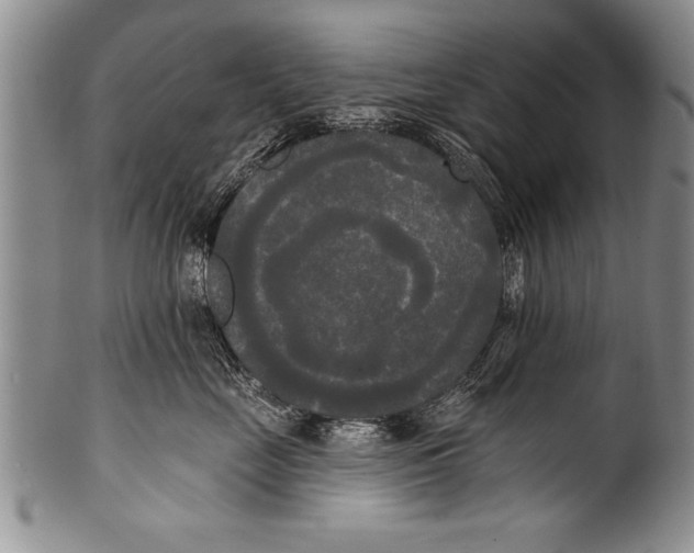 X0000100330669200806261303