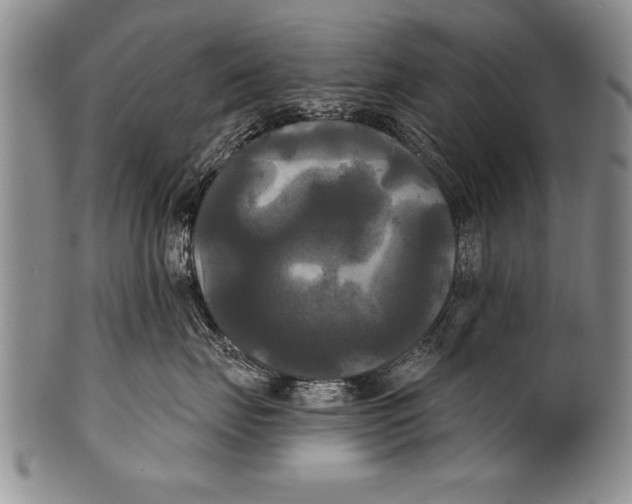 X0000100330671200806261303