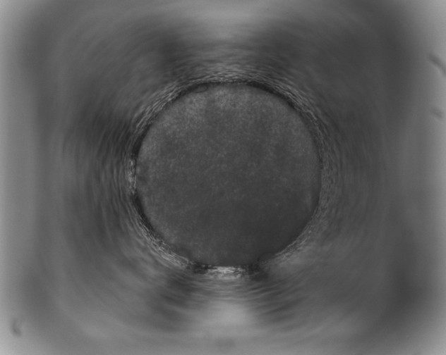 X0000100330672200806261303