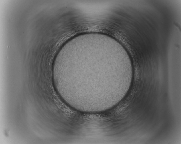 X0000100330673200806261303