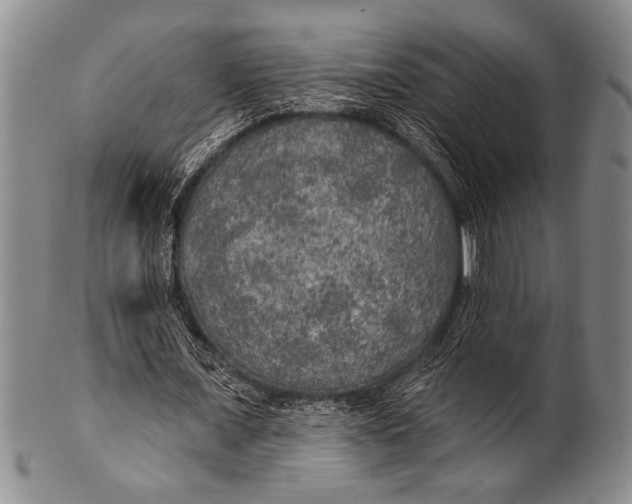 X0000100330675200806261303