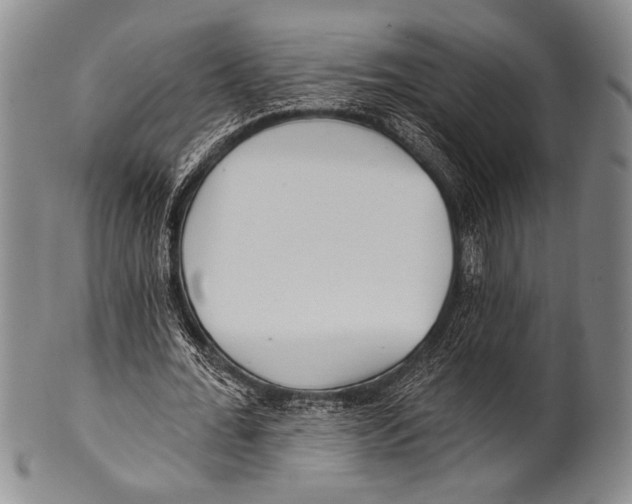 X0000100330676200806261303