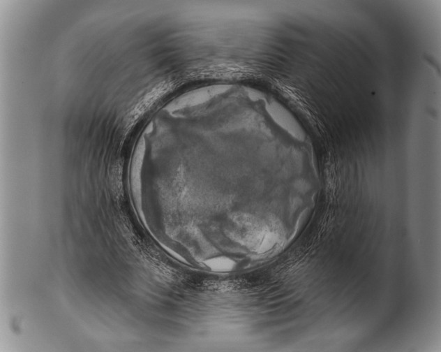 X0000100330679200806261303