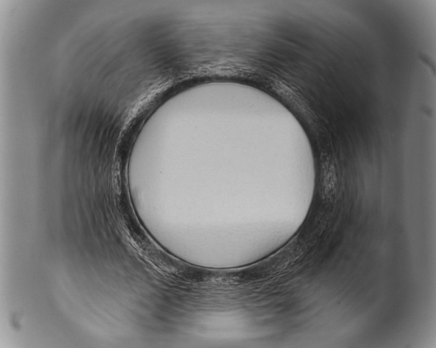 X0000100330680200806261303