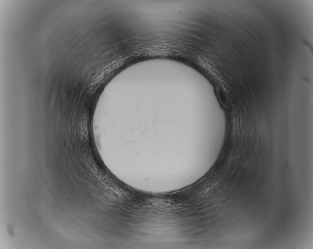 X0000100330681200806261303