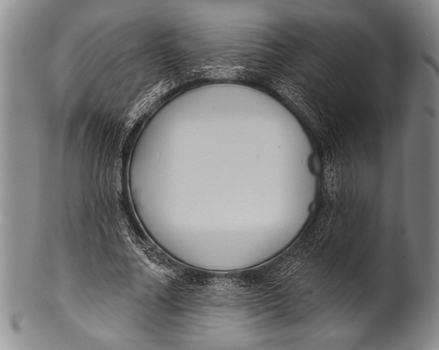 X0000100330682200806261303