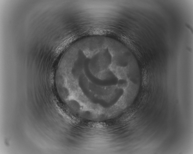 X0000100330683200806261302