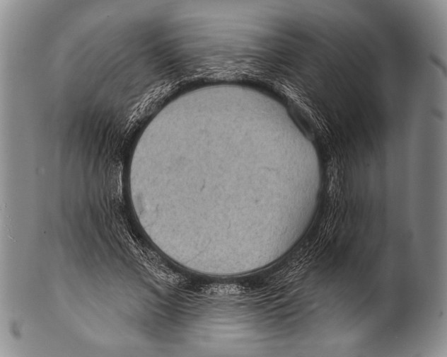 X0000100330685200806261302