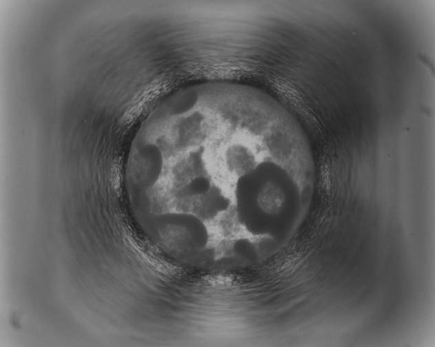 X0000100330687200806261302