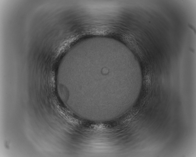 X0000100330688200806261302