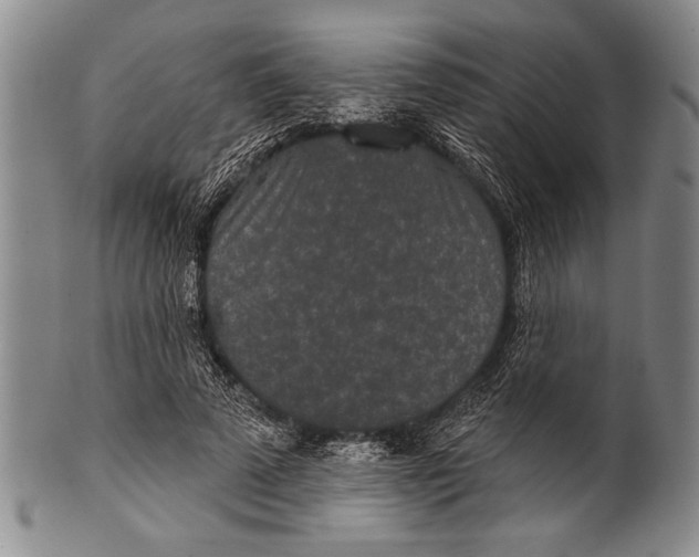 X0000100330689200806261302